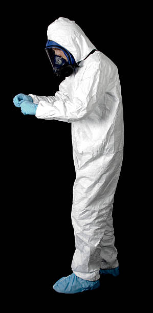 Professional Mold Removal in Hamlet, IN